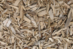 biomass boilers Graig