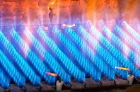 Graig gas fired boilers